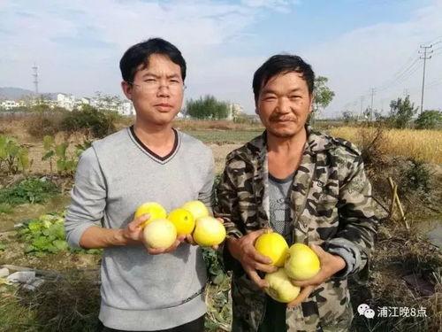 有钱就行吃瓜群众,吃瓜群众的财富观揭秘