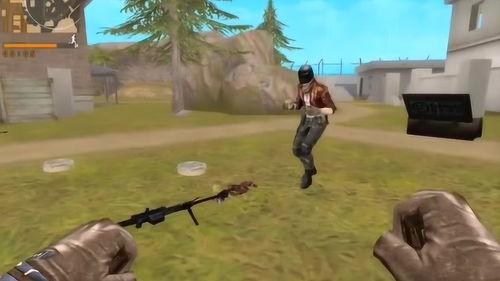 吃鸡歪瓜直播,趣味横生的游戏盛宴