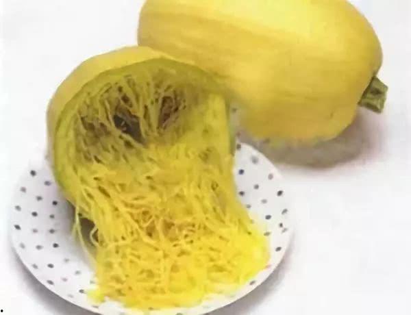 金丝绞瓜的瓜仔怎么吃,金丝绞瓜瓜仔的多样美味食用指南