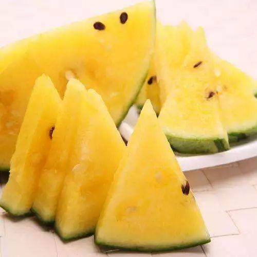 张大耳朵吃瓜,张大耳朵的瓜田奇遇记