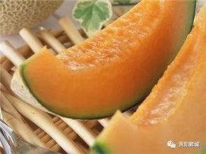 哈密瓜夹沙瓜怎么吃,夏日清新美食的多样吃法探索