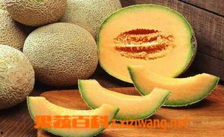 冰镇哈密瓜怎么吃,冰镇哈密瓜的多样食法探索