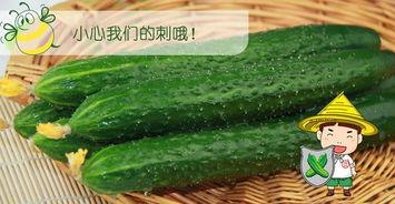 最好的吃瓜视频,最佳吃瓜视频带你领略明星幕后故事