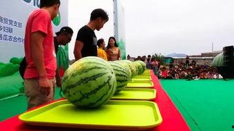 吃瓜群众跑神,揭秘娱乐圈幕后故事