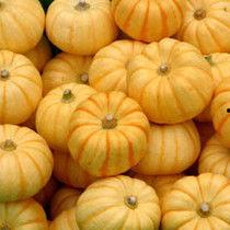 日本桔瓜怎么吃,解锁美味新体验