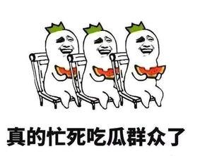 上班啦妈妈吃瓜,揭秘职场妈妈的生活瓜与育儿经