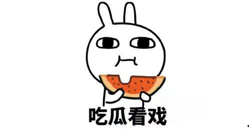 舆论吃瓜酱,揭秘“吃瓜酱”背后的网络现象