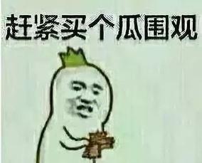 舆论吃瓜酱,揭秘“吃瓜酱”背后的网络现象