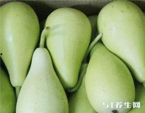 糖尿病可以吃葫芦瓜吗,糖尿病患者的理想食材选择