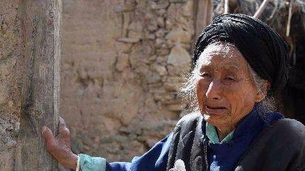 梦见母亲摘瓜给我吃,母亲摘瓜赠食的温馨回忆