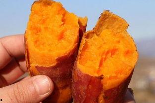 怀孕了可以吃土瓜