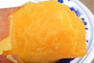 怀孕了可以吃土瓜