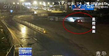 吃瓜群众路人007,揭秘吃瓜群众的神秘生活