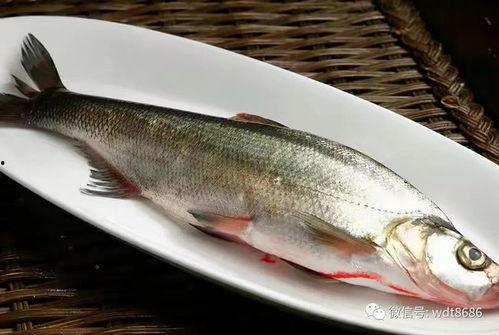 饥鱼520吃瓜,揭秘娱乐圈那些不为人知的幕后故事