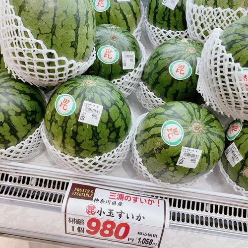 吃瓜群众瓜片,吃瓜群众瓜片背后的真相