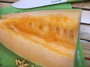 柳州有什么瓜吃,探寻这座城市的甜蜜诱惑