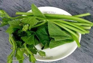 柳州有什么瓜吃,探寻这座城市的甜蜜诱惑