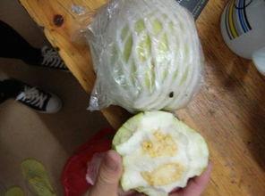 日本瓜削皮吗怎么吃