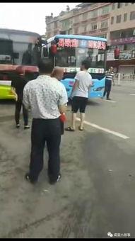 吃瓜围观大全视频