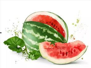 美食吃瓜趣事,美食吃瓜趣事大盘点